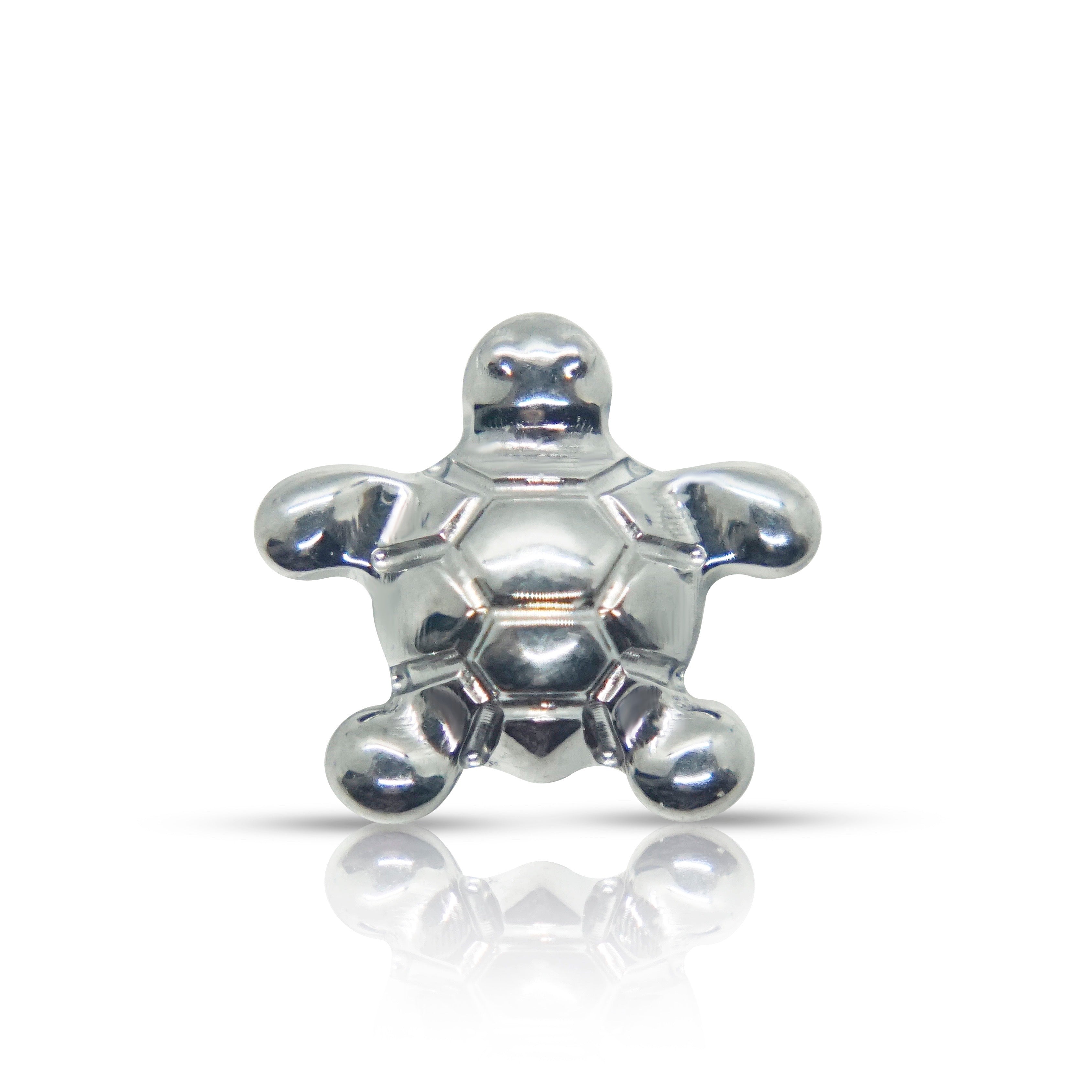 tortuga disco
